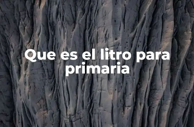 Que es el Litro para Primaria