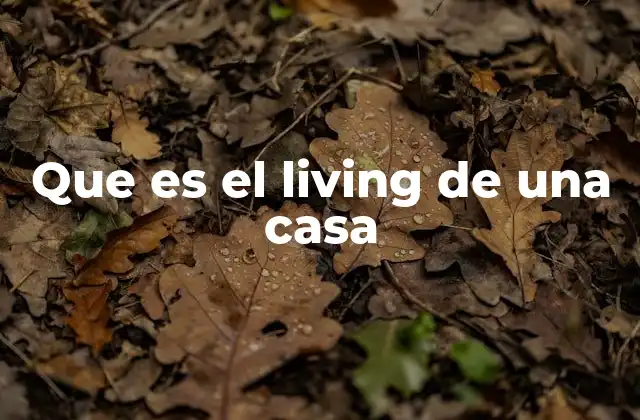 Que es el Living de una Casa