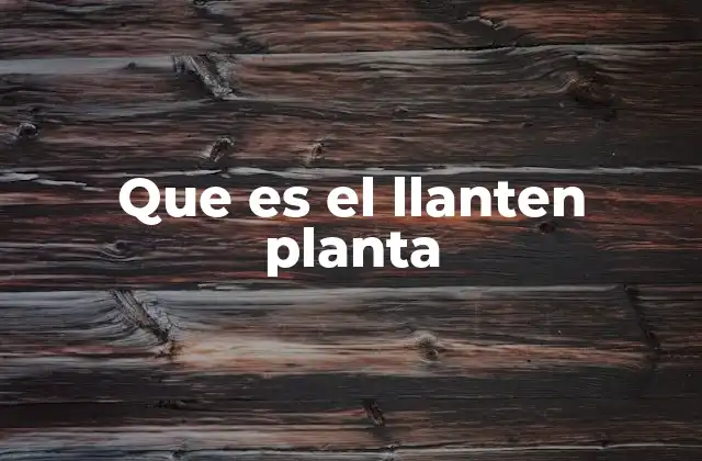 Que es el Llanten Planta