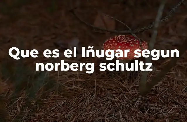 Que es el Lñugar Segun Norberg Schultz