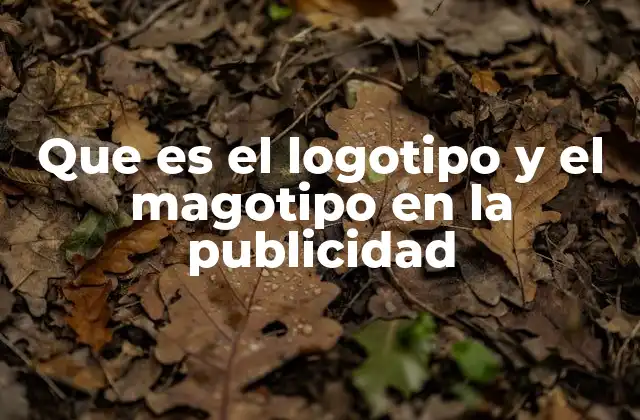 Que es el Logotipo y el Magotipo en la Publicidad
