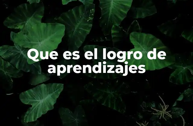 Que es el Logro de Aprendizajes