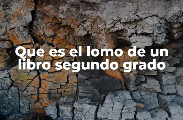 Que es el Lomo de un Libro Segundo Grado
