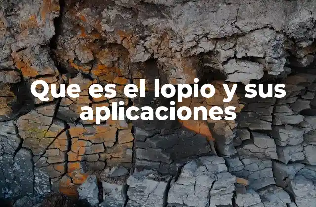 Que es el Lopio y Sus Aplicaciones