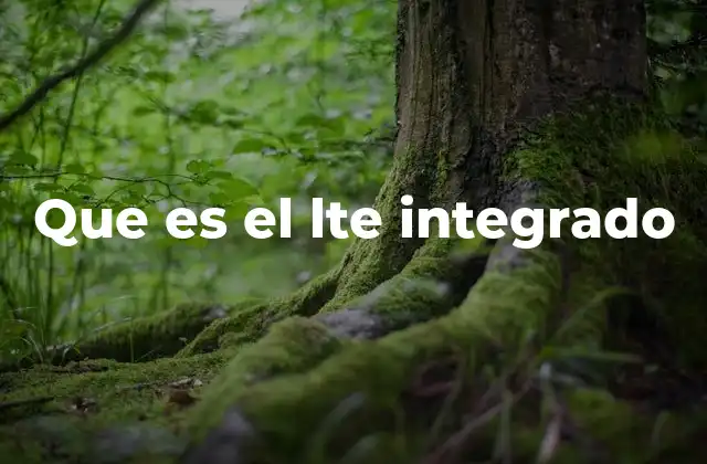 Que es el Lte Integrado