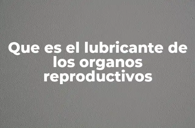 Que es el Lubricante de los Organos Reproductivos