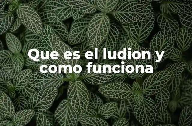 Que es el Ludion y como Funciona