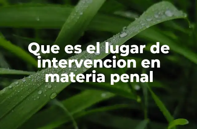 Que es el Lugar de Intervencion en Materia Penal