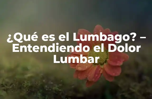 ¿qué es el Lumbago? – Entendiendo el Dolor Lumbar