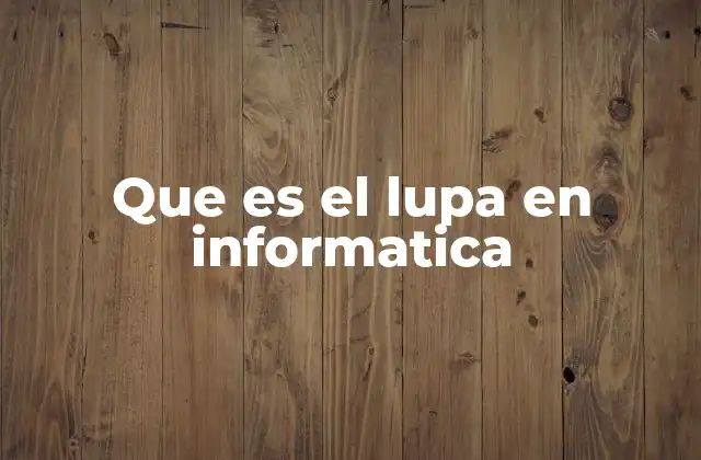 Que es el Lupa en Informatica