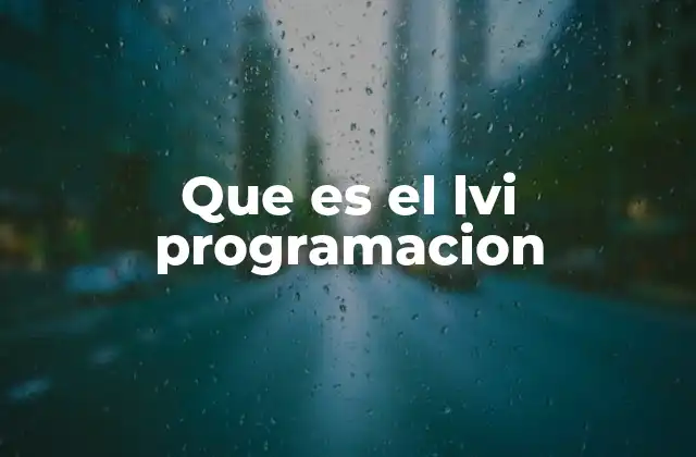 Que es el Lvi Programacion