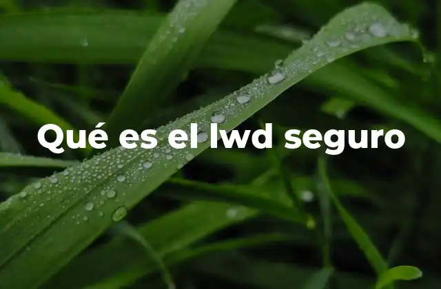 Qué es el Lwd Seguro