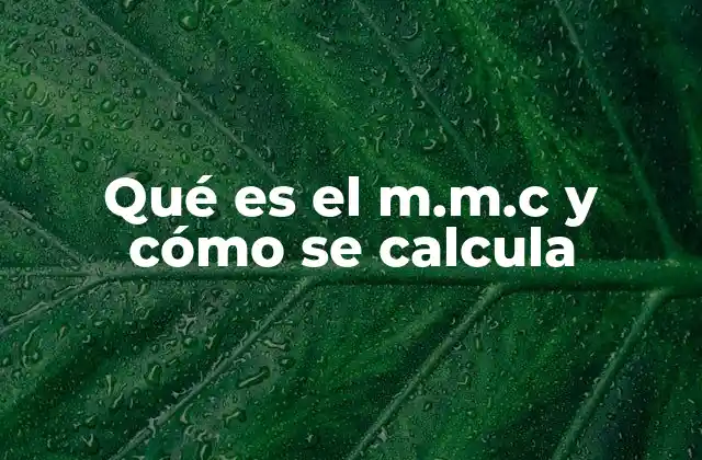 Qué es el M.m.c y Cómo Se Calcula