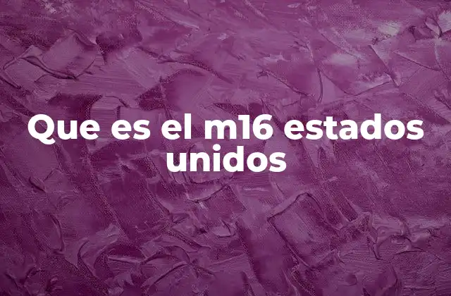 Que es el M16 Estados Unidos 2 El papel del M16 en la historia militar estadounidense