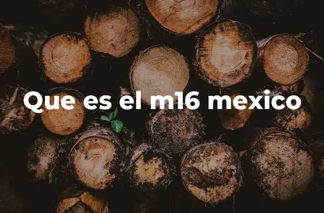Que es el M16 Mexico