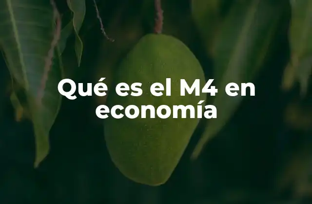 Qué es el M4 en Economía