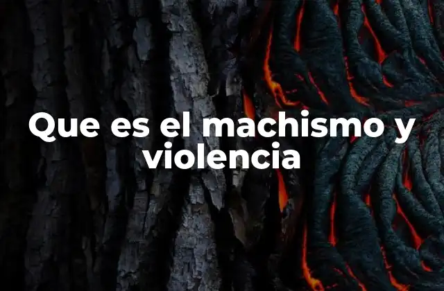 Que es el Machismo y Violencia