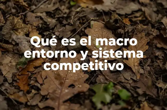 Qué es el Macro Entorno y Sistema Competitivo