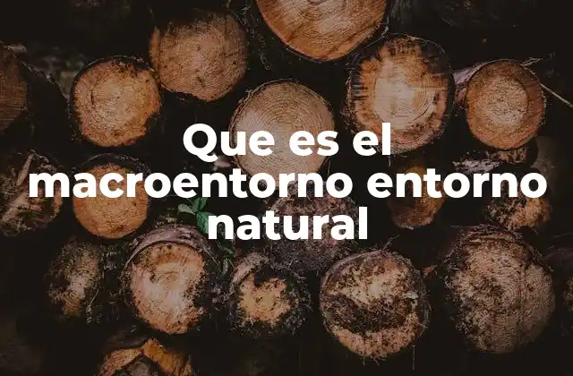 Que es el Macroentorno Entorno Natural