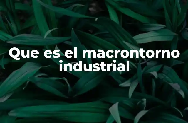 Que es el Macrontorno Industrial