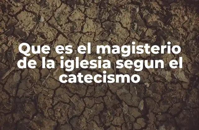 Que es el Magisterio de la Iglesia Segun el Catecismo