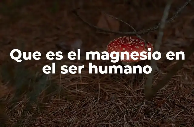 Que es el Magnesio en el Ser Humano