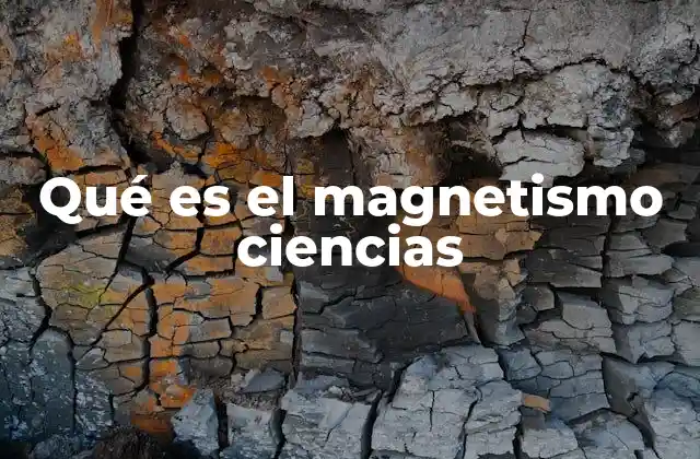 Qué es el Magnetismo Ciencias