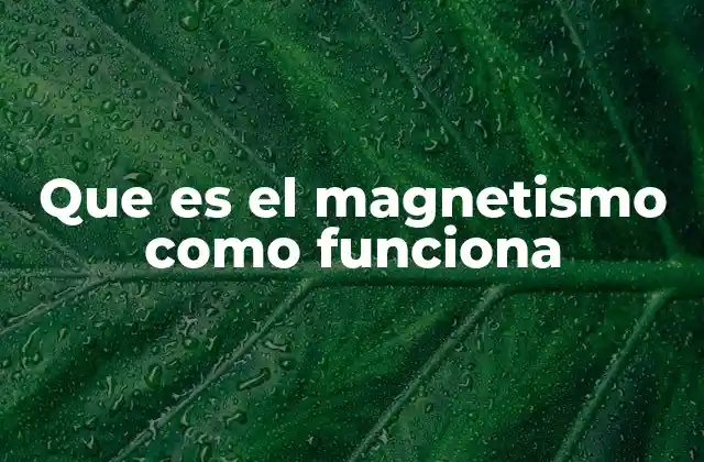 El magnetismo y su relación con la electricidad