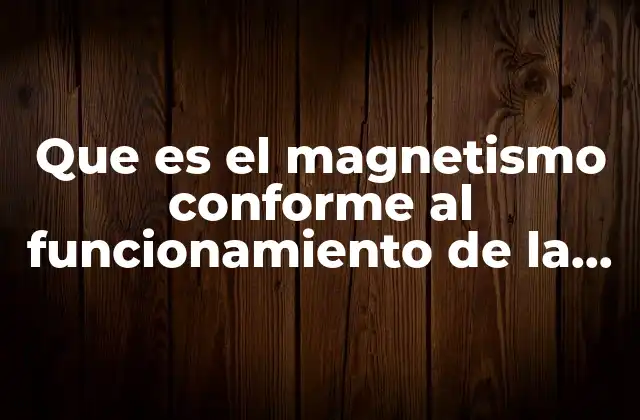 Que es el Magnetismo Conforme Al Funcionamiento de la Licuadora