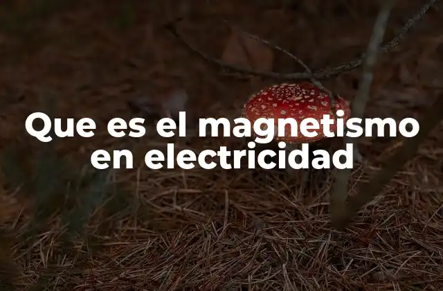 Que es el Magnetismo en Electricidad