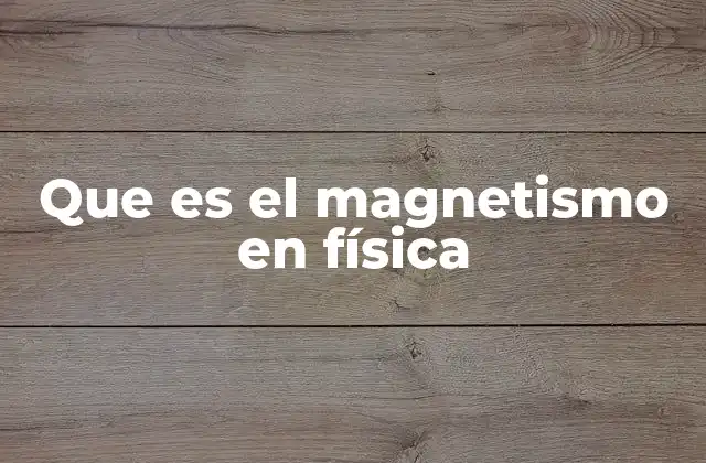Que es el Magnetismo en Física