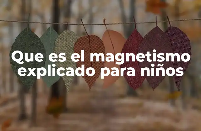 Que es el Magnetismo Explicado para Niños