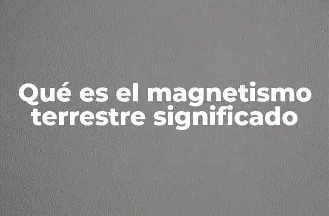 Qué es el Magnetismo Terrestre Significado