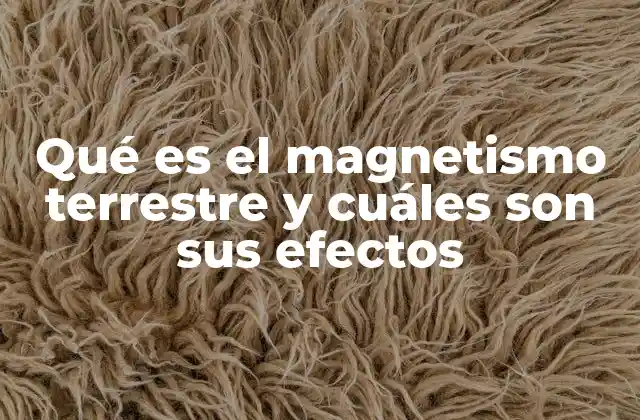 Qué es el Magnetismo Terrestre y Cuáles Son Sus Efectos