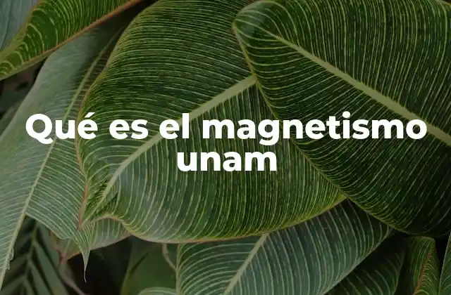 El magnetismo en la formación científica de la UNAM