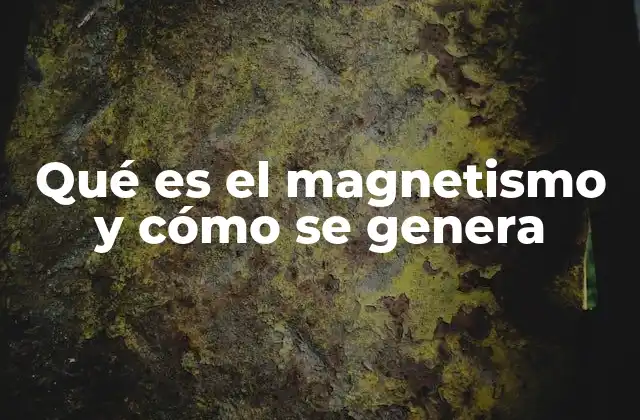 Qué es el Magnetismo y Cómo Se Genera