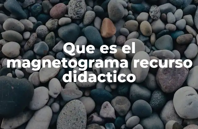 Que es el Magnetograma Recurso Didactico