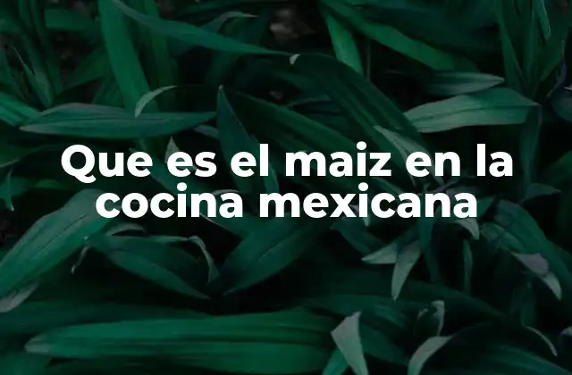 Que es el Maiz en la Cocina Mexicana