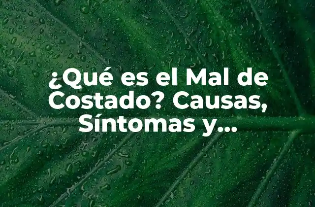 ¿qué es el Mal de Costado? Causas, Síntomas y Tratamiento 2 Causas del Mal de Costado