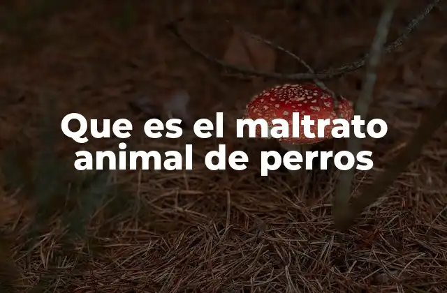 Que es el Maltrato Animal de Perros