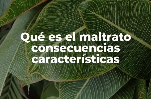 Qué es el Maltrato Consecuencias Características