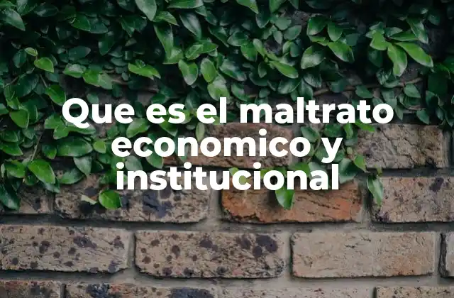 Cómo se manifiesta el maltrato económico y institucional