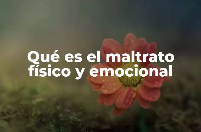 Qué es el Maltrato Físico y Emocional