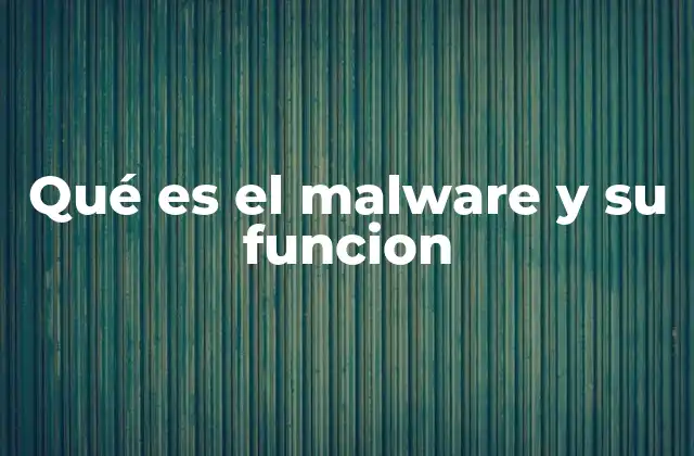 Qué es el Malware y Su Funcion