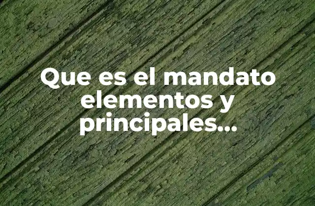 Que es el Mandato Elementos y Principales Características