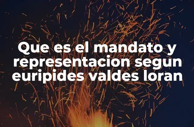 Que es el Mandato y Representacion Segun Euripides Valdes Loran