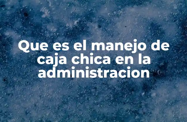 Que es el Manejo de Caja Chica en la Administracion