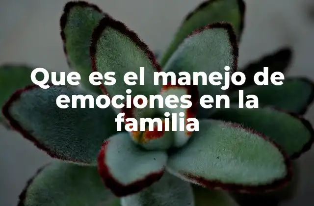 Que es el Manejo de Emociones en la Familia