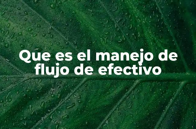 Que es el Manejo de Flujo de Efectivo