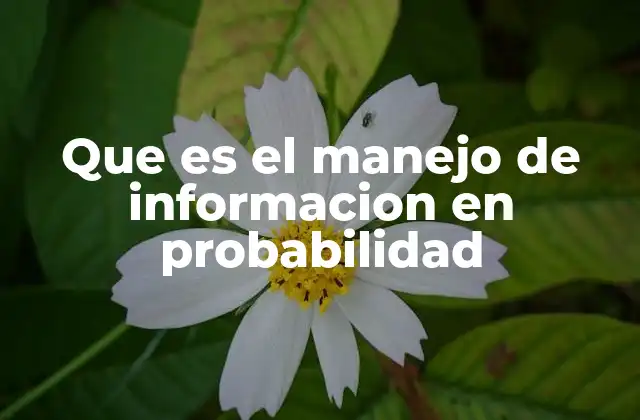 Que es el Manejo de Informacion en Probabilidad